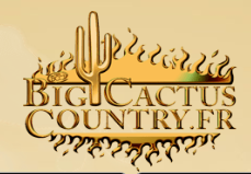 Big cactus country