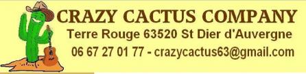 Crazy cactus company